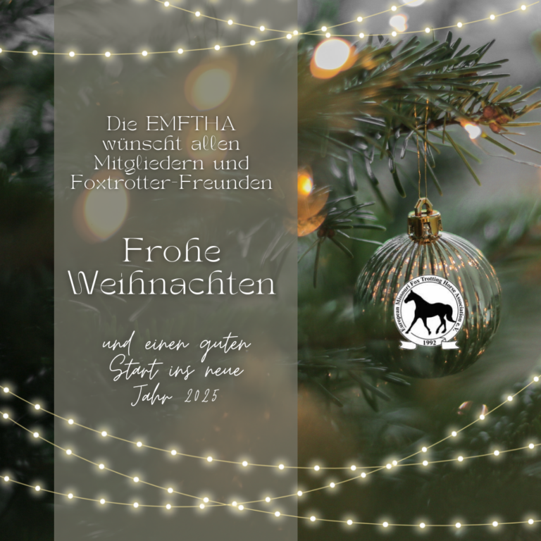 Read more about the article Frohe Weihnachten und einen guten Start ins Jahr 2025