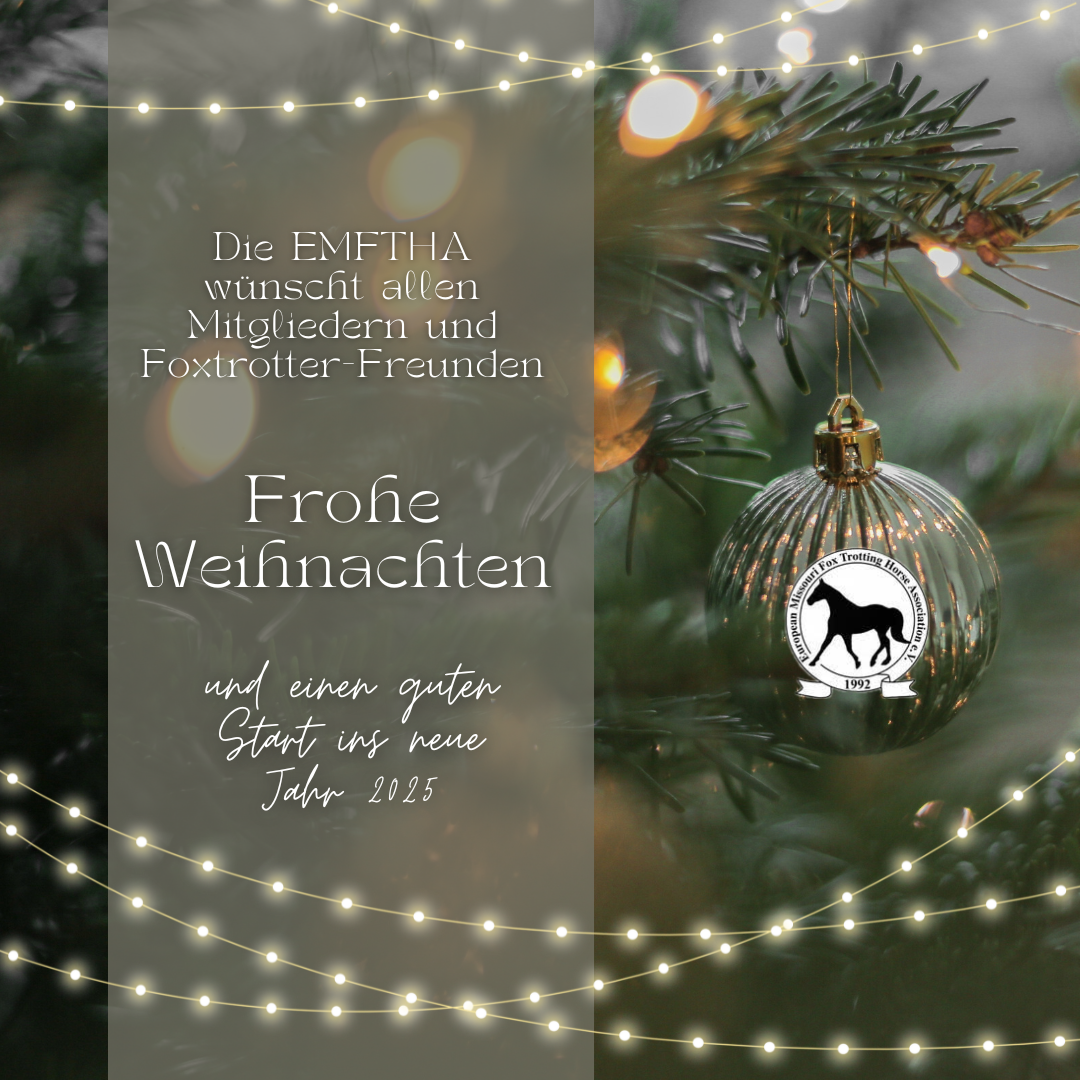 You are currently viewing Frohe Weihnachten und einen guten Start ins Jahr 2025